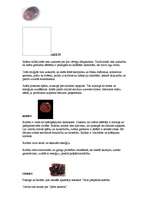 Referāts 'Dārgakmeņi', 1.