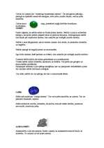 Referāts 'Dārgakmeņi', 2.