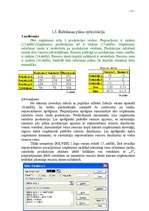 Referāts 'Datormācība', 11.