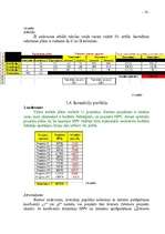 Referāts 'Datormācība', 14.