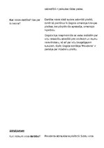 Eseja 'N.Gogoļa "Revidents"', 2.