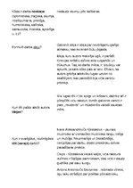 Eseja 'N.Gogoļa "Revidents"', 4.