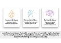 Prezentācija 'Atvieglojuma ceļš: neiromediatoru lielā modulācija', 2.