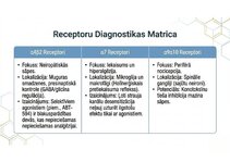 Prezentācija 'Atvieglojuma ceļš: neiromediatoru lielā modulācija', 8.