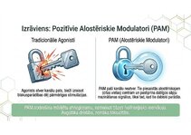 Prezentācija 'Atvieglojuma ceļš: neiromediatoru lielā modulācija', 9.