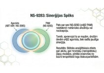 Prezentācija 'Atvieglojuma ceļš: neiromediatoru lielā modulācija', 12.