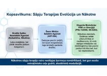 Prezentācija 'Atvieglojuma ceļš: neiromediatoru lielā modulācija', 13.