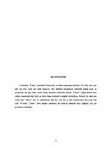 Referāts 'Princeses Diānas nāves un bēru atspoguļojums laikrakstā "Diena"', 12.