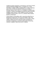 Eseja 'Latvijas demogrāfiskā politika', 2.