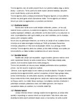 Prakses atskaite 'Prakses atskaite tūrisma aģentūrā "Ap sauli"', 4.