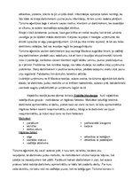 Prakses atskaite 'Prakses atskaite tūrisma aģentūrā "Ap sauli"', 8.