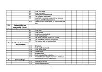 Paraugs 'Darba vides riska novērtējums', 3.