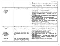 Konspekts 'Tematiskais plāns', 12.