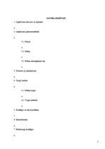 Biznesa plāns 'Biznesa plāns uzņēmumam, kas nodarbojas ar piena produktu tirdzniecību', 2.