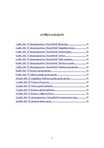 Diplomdarbs 'Noliktavas uzskaite un organizācija SIA "S"', 3.