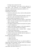 Diplomdarbs 'Noliktavas uzskaite un organizācija SIA "S"', 25.