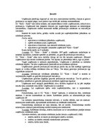 Referāts 'Ražošanas jauda IU "Kora - Koks"', 3.