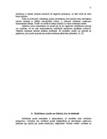 Referāts 'Ražošanas jauda IU "Kora - Koks"', 15.