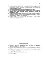 Referāts 'Ražošanas jauda IU "Kora - Koks"', 28.