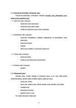 Referāts 'Fizisko personu dokumentu noformēšanas kārtība', 8.