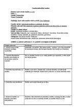 Konspekts 'Pedagoģiskā vērojuma prakses dienasgrāmata', 17.