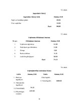 Referāts 'Kāzu plānošanas aģentūra', 18.