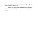 Referāts 'Maķedonijas Aleksandra armija', 4.