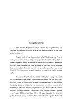 Referāts 'Maķedonijas Aleksandra armija', 9.