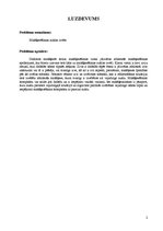 Paraugs 'Atskaite par pirmo uzdevumu bloku. Mākslīgais intelekts', 2.