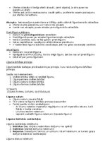 Konspekts 'Saistību tiesību konspekts', 3.