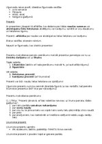 Konspekts 'Saistību tiesību konspekts', 13.