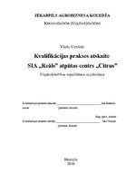 Prakses atskaite 'Prakses atskaite uzņēmējdarbības organizēšanā', 1.