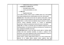 Prakses atskaite 'Prakses atskaite uzņēmējdarbības organizēšanā', 9.