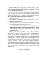 Referāts 'Franšīze', 5.