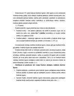 Referāts 'Franšīze', 7.