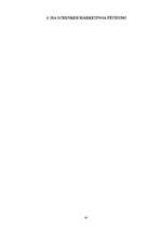 Referāts 'SIA Schenker sertificētie starptautiskie standarti un mārketinga pētījums', 66.