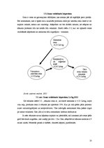 Referāts 'Kāpostu audzēšanas perspektīvas Latvijā', 20.