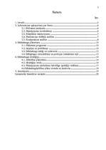 Referāts 'Firmas mārketinga stratēģija', 2.