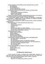 Referāts 'Firmas mārketinga stratēģija', 5.