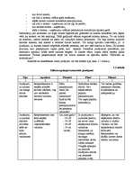 Referāts 'Firmas mārketinga stratēģija', 6.