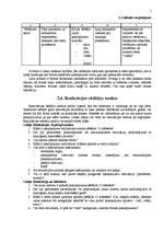 Referāts 'Firmas mārketinga stratēģija', 7.