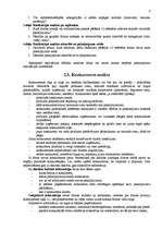 Referāts 'Firmas mārketinga stratēģija', 8.