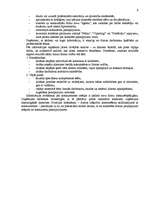 Referāts 'Firmas mārketinga stratēģija', 9.