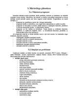 Referāts 'Firmas mārketinga stratēģija', 10.