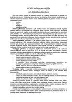 Referāts 'Firmas mārketinga stratēģija', 14.