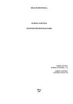 Referāts 'Globālā sasilšana', 1.