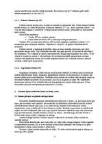 Referāts 'Globālā sasilšana', 17.