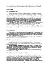 Referāts 'Globālā sasilšana', 19.