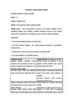 Konspekts 'Krāšņais salūts', 1.