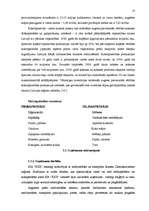 Referāts 'Motivācijas sistēmas efektivitātes novērtēšana', 13.